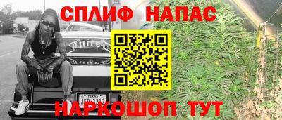 прущие грибы Кингисепп