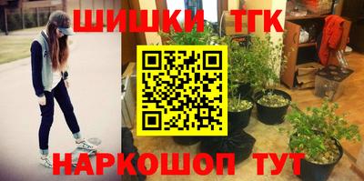 прущие грибы Кингисепп