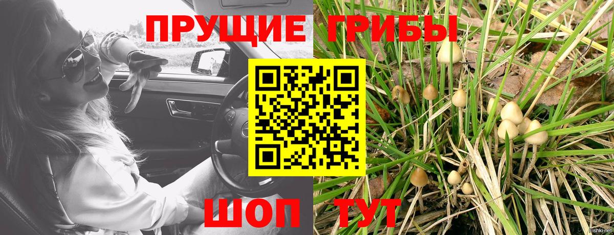 Псилоцибиновые грибы MAGIC MUSHROOMS Кострома