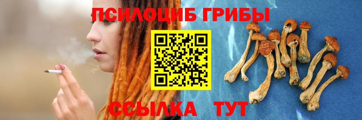 Псилоцибиновые грибы Cubensis  Вход с VPN  Кострома  Псилоцибиновые грибы мухоморы 