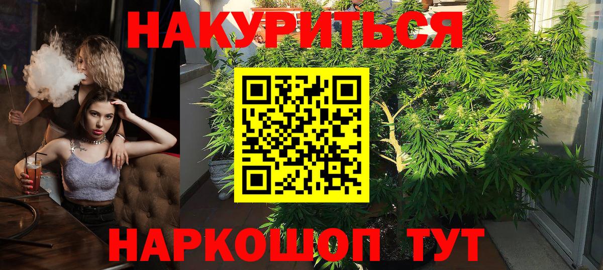 Каннабис сатива  Бошки марихуана план  Конопля планчик  Вход с VPN  Кострома 