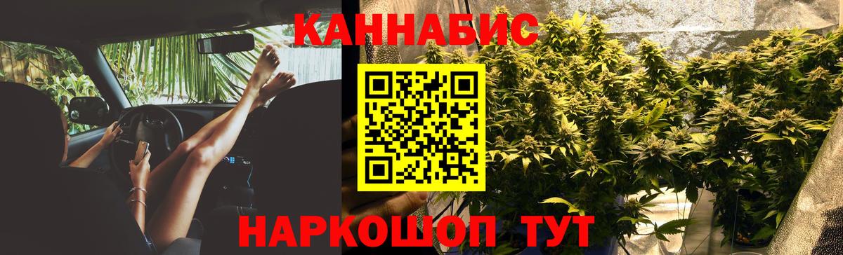 Бошки марихуана AK-47 Кострома